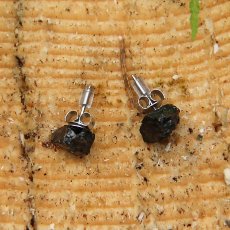 Shungite shop earrings studs