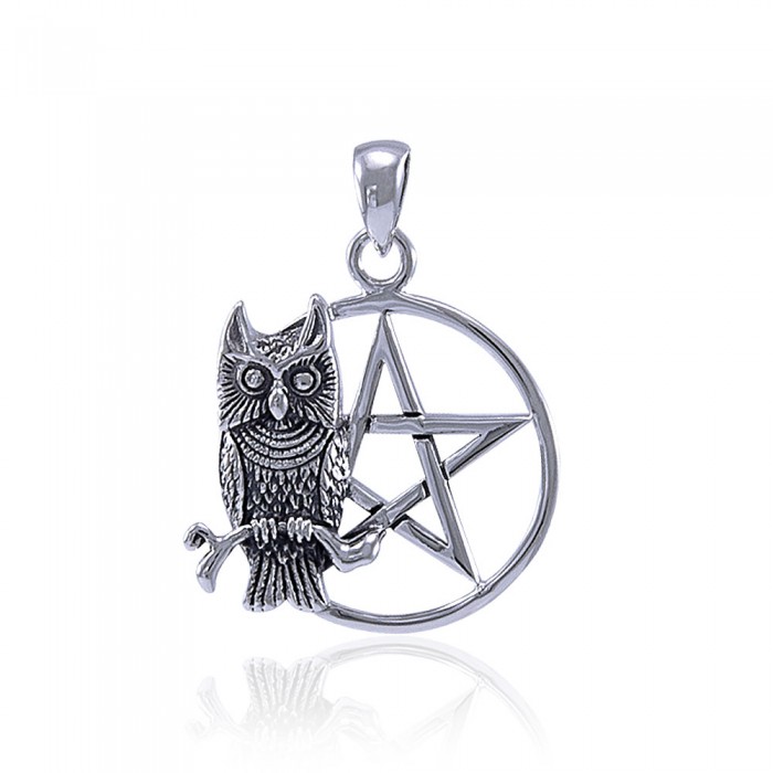 Pagan Wicca Owl Pentacle Sterling Silver Pendant Peter Stone Jewelry 